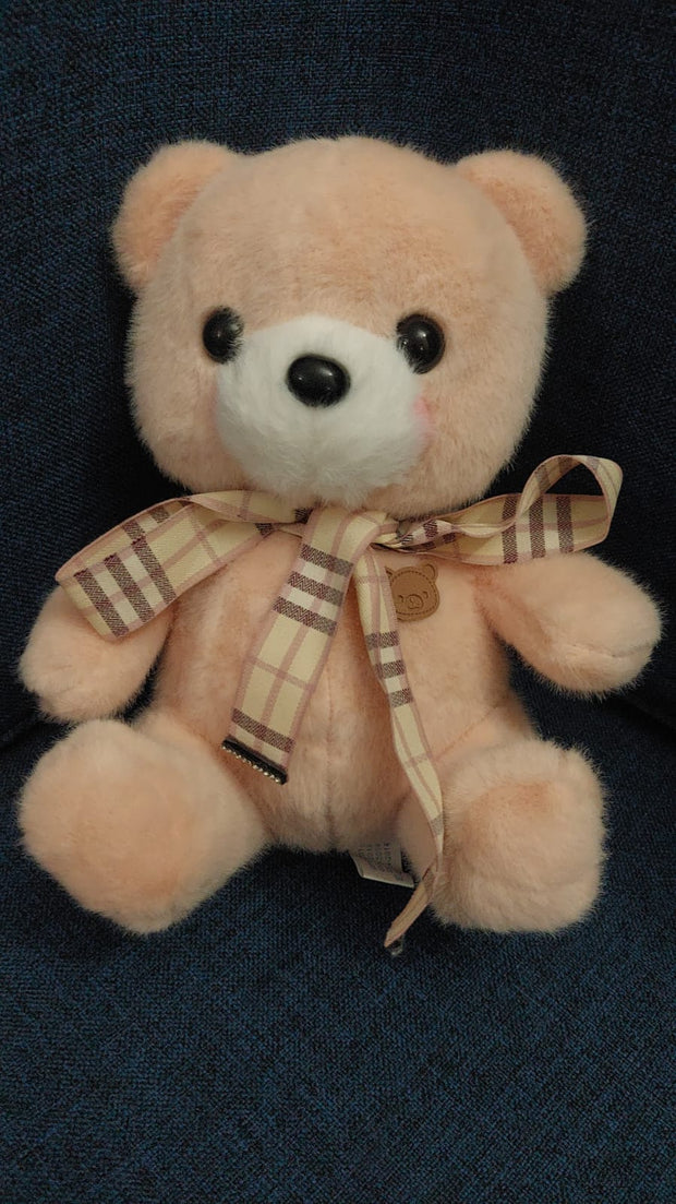 LG2 RIBBON BEAR 25CM